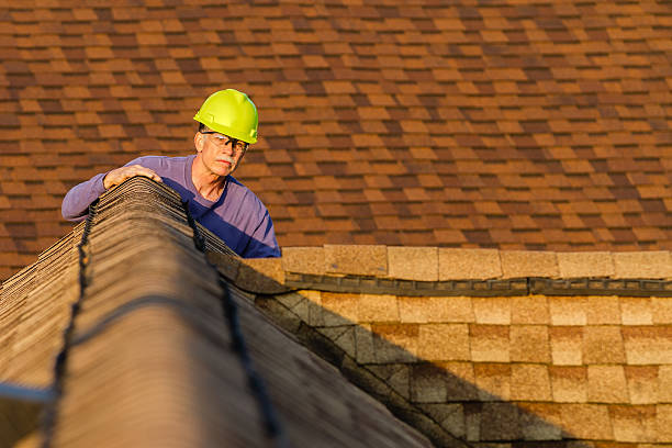 Best Roof Leak Repair  in Oakland, NE