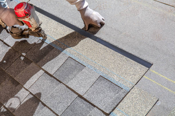 Best Roofing Contractor Near Me  in Oakland, NE